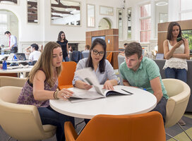 Three Smurift students studying 