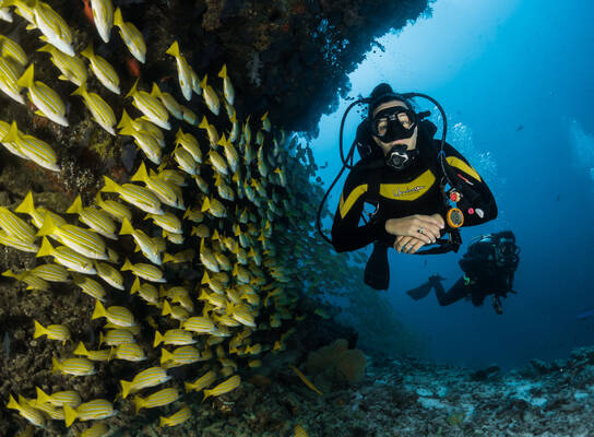 PADI Scuba Qualification