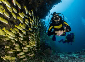 PADI Scuba Qualification