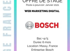 Internship at Bosch - Internship in France - EGE FRANCE
