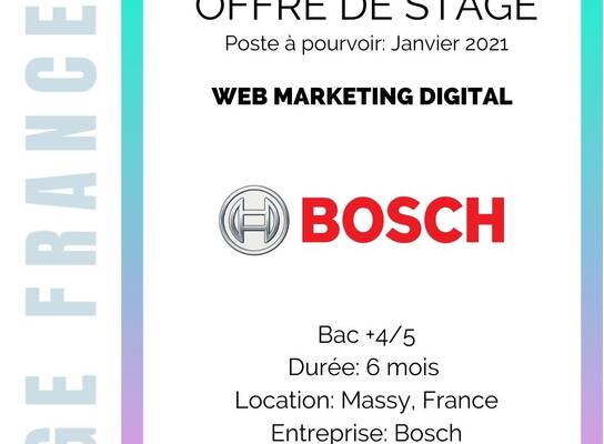 Internship at Bosch - Internship in France - EGE FRANCE