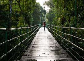 Student on stone bridge at La Selva