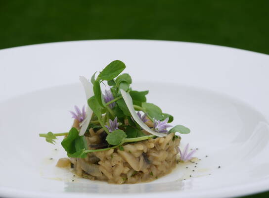 Wild Mushroom Risotto with Rocket & Parmesan