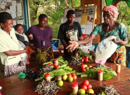 Butterfly Space: Over A Dozen Diverse Volunteer Opportunities in Nkhata Bay, Malawi