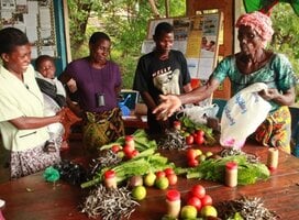 Butterfly Space: Over A Dozen Diverse Volunteer Opportunities in Nkhata Bay, Malawi