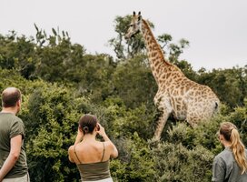 Wildlife conservation volunteer project