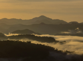 el salvador