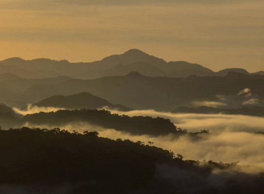 el salvador