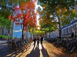 IFSA SOAS, University of London