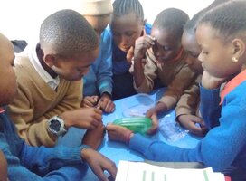 Kids doing STEM