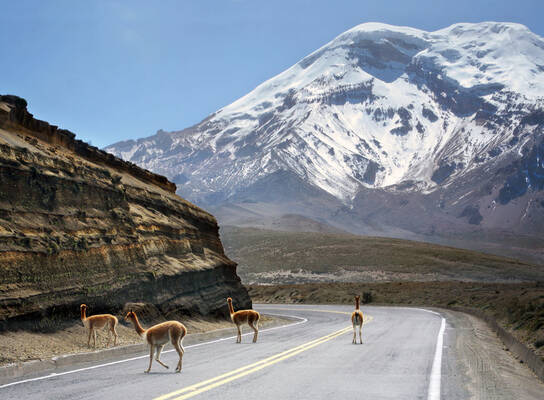 Chimborazo Mt.