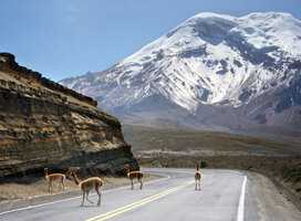 Chimborazo Mt.