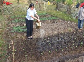 A volunteer taking up gardening