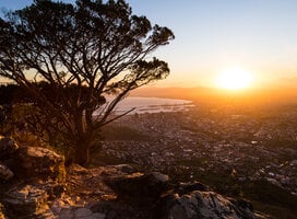 Cape Town