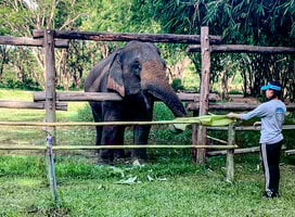 Go Overseas to Thailand with GLA