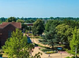 Study Abroad Programs at University of Southampton