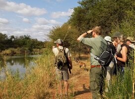 Volunteer Experience