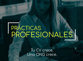 Prácticas profesionales