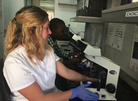 A medical intern working in a lab at a hospital 