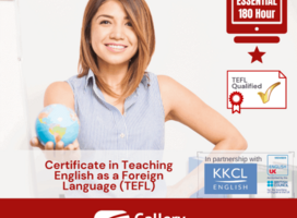 Certificate in Teaching English as a Foreign Language (TEFL)