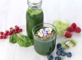 Gastronomy, Nutrition & Wellness