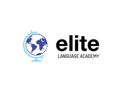 Facilitating Professional Success & Language- Cross Cultural Training in a Virtual Space