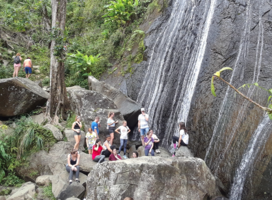 Visit to El Yunque National Rain Forest