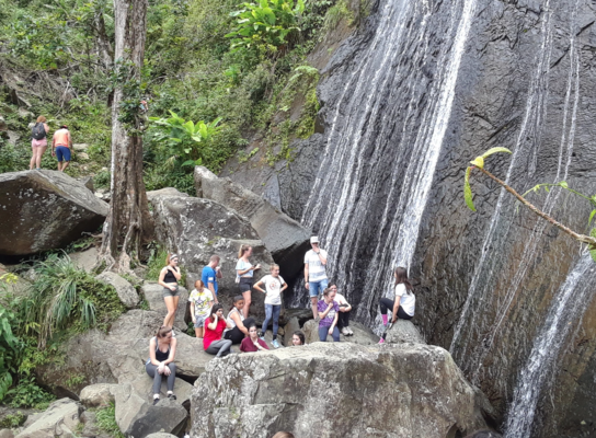 Visit to El Yunque National Rain Forest