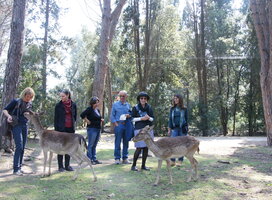 Excursion to the natural reserve