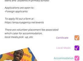 Volunteer In Ghana;start-up fun and educative clubs/ Save the turtles/ Volunteer to educate teens and kids! 
