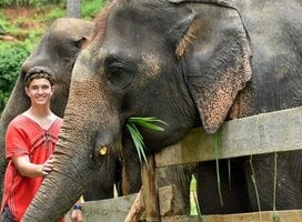 Do Right by Elephants