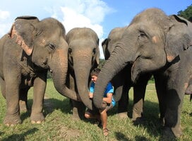 Mini Semester Thailand