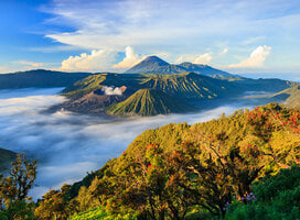 Indonesia Volunteer Opportunities | travel For Youth
