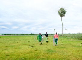 Fieldwork with PLT