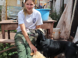 Dog Shelter Volunteering
