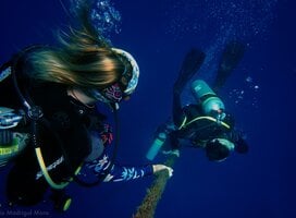 Divers on safety stop