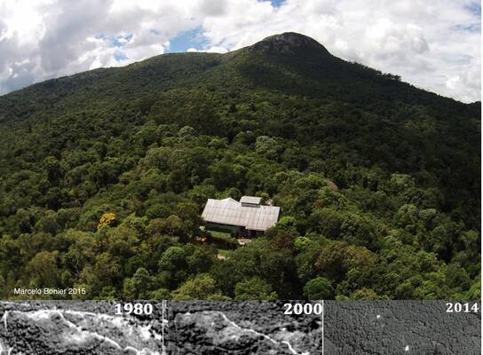 Rewilding an old mine at Reserva Jaguarapira 