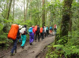 Mt Kilimanjaro trekking
