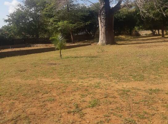Conservation of the Boabab Trees in Kilifi