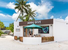 ADDU DIVE  