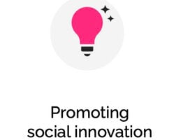 Promoting Social Innovation