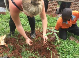 Uganda Environment Conservation