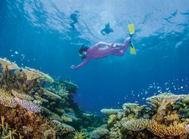 TEAN: Study Abroad in Townsville, Australia
