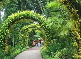 TEAN: Study Abroad in Singapore