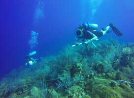 Underwater Photography & Reef Conservation in Cayman Islands