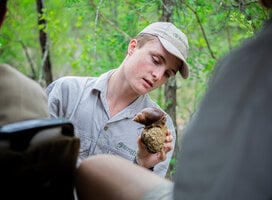 Students learn about all kinds of animals on a Bushwise Nature Enthusiast online course.