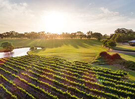 Winery