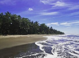 Beach Pacuare