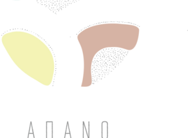 apano meria logo