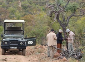 Camera trap surveying